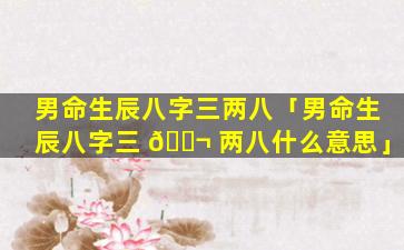 男命生辰八字三两八「男命生辰八字三 🐬 两八什么意思」